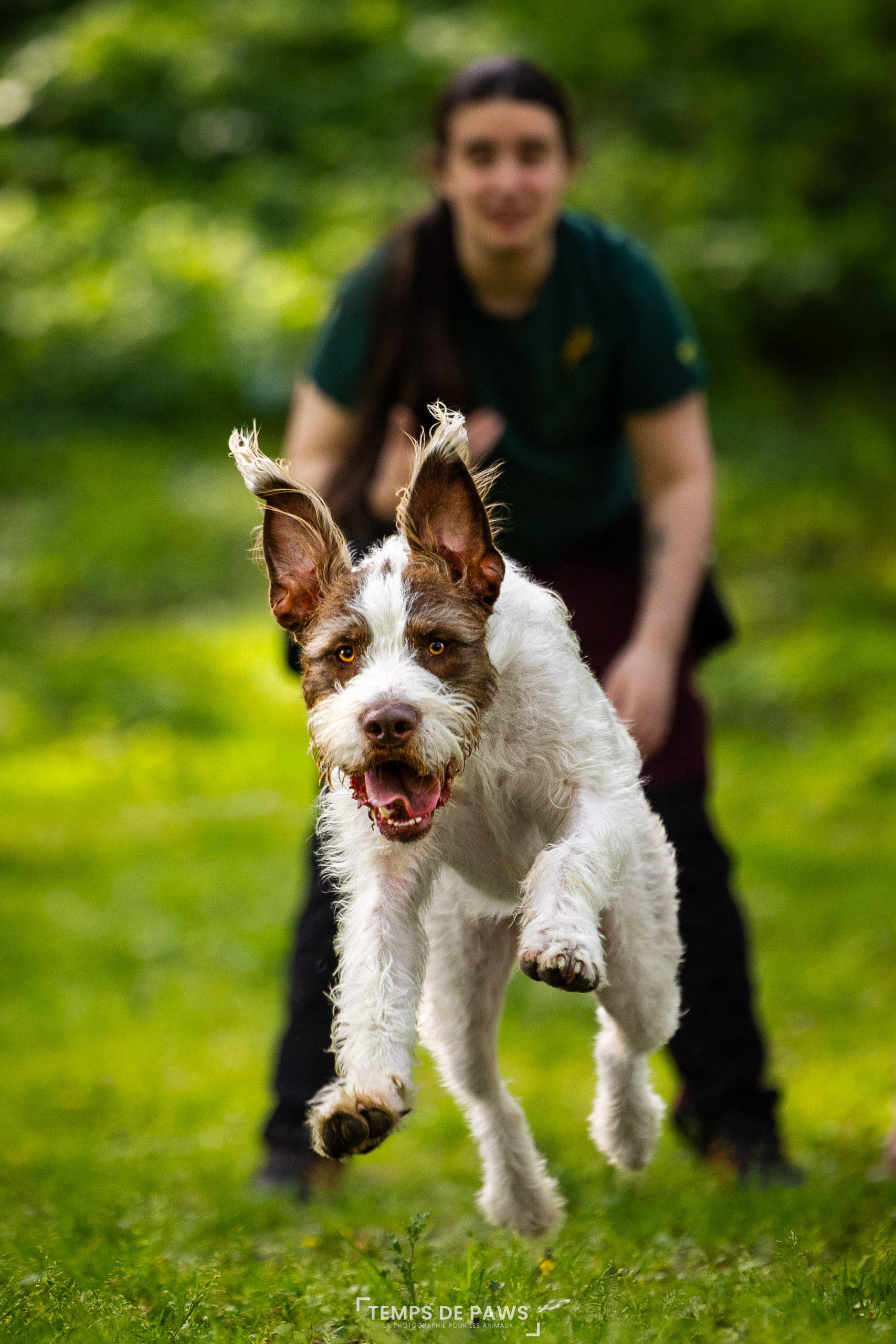 Photo d'un chien qui souris avec un humain à côté
